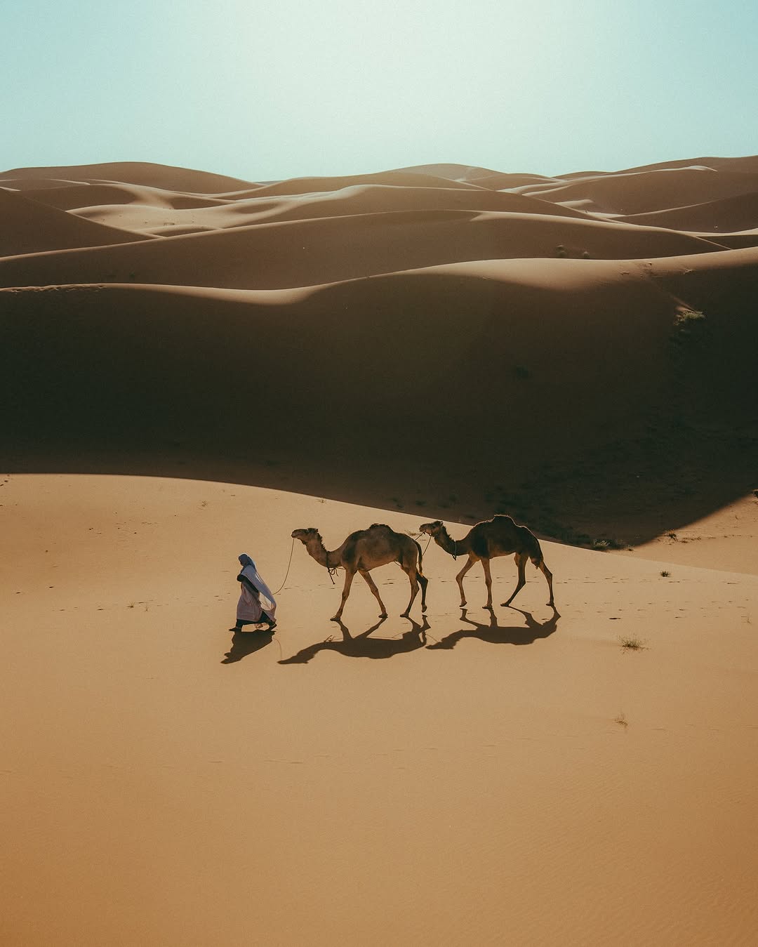 Camel guide walking with two camels through the Sahara.