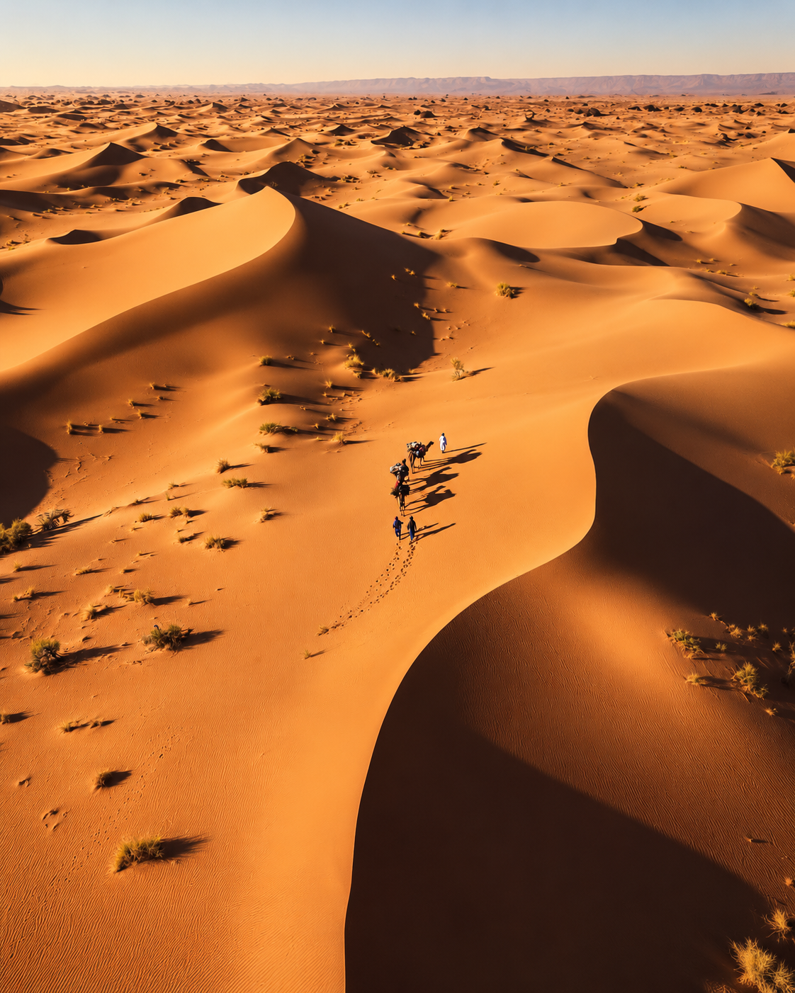 Camel caravan crossing remote Sahara dunes.