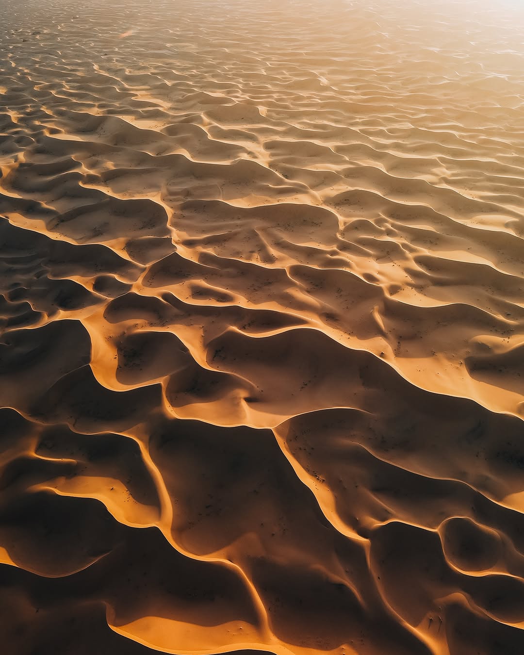 Aerial texture of golden Sahara dunes.