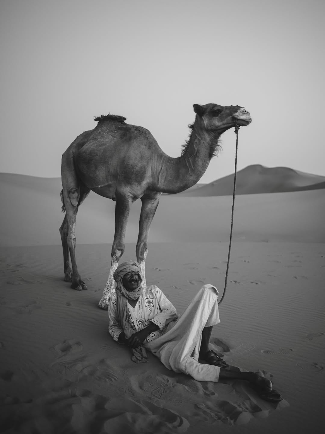 Black and White Camel Moment in the Sahara Caravan gallery.