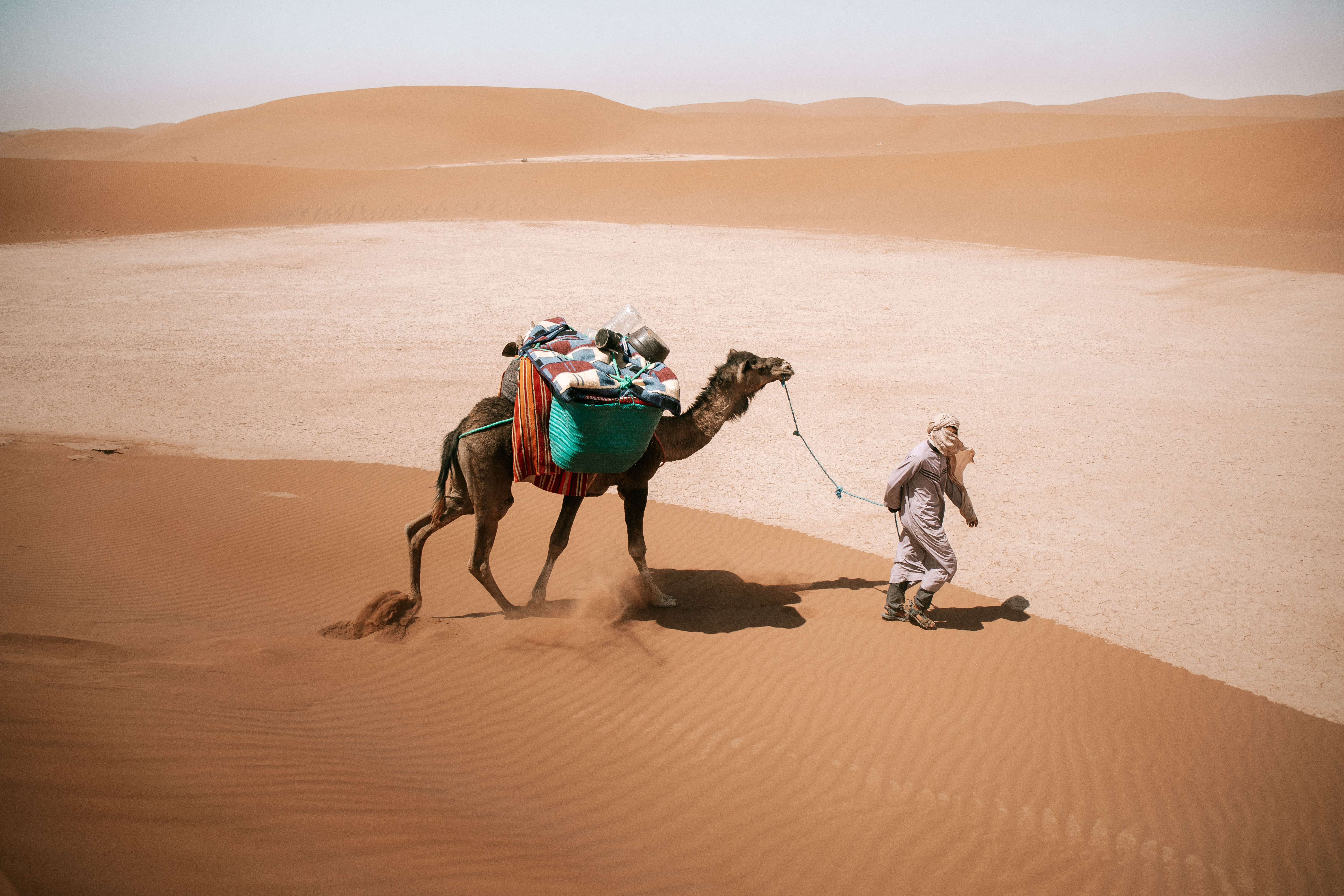 Camel and Guide Climbing a Dune in the Sahara Caravan gallery.