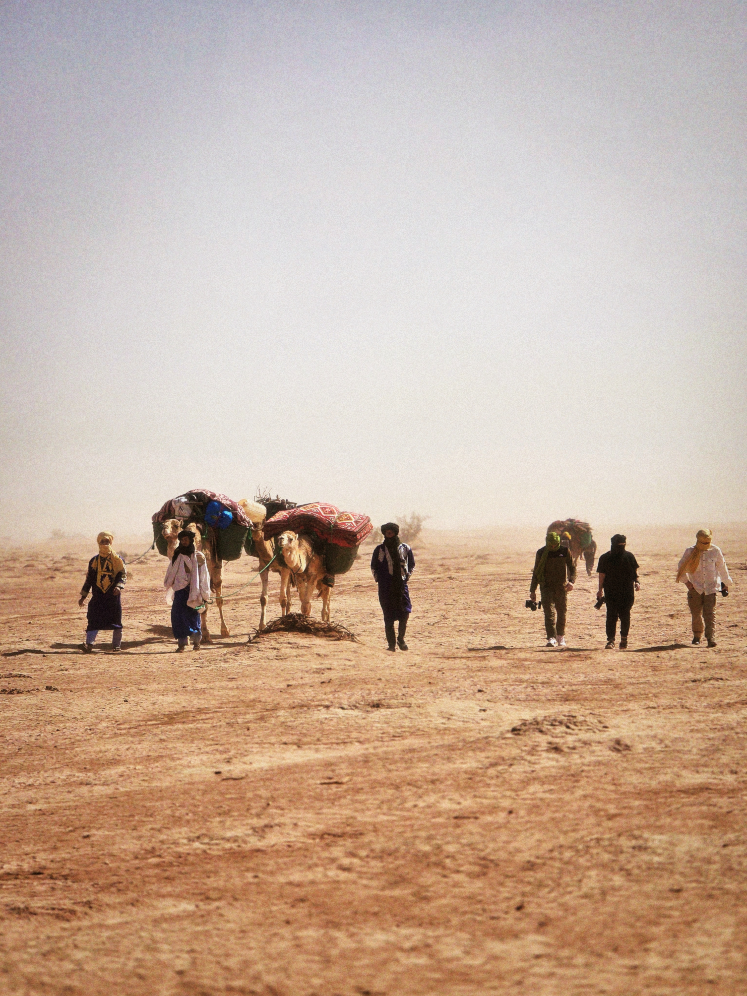 Camel Caravan Crossing Flat Desert in the Sahara Caravan gallery.