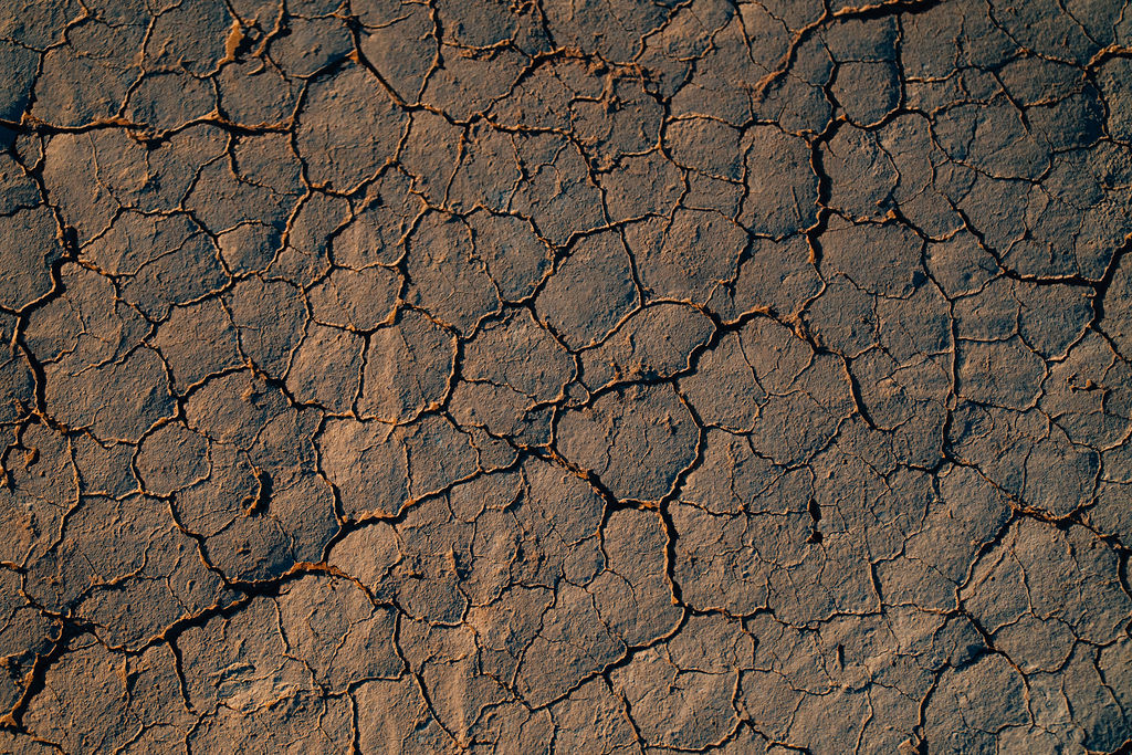 Cracked Dry Lake Texture in the Sahara Caravan gallery.