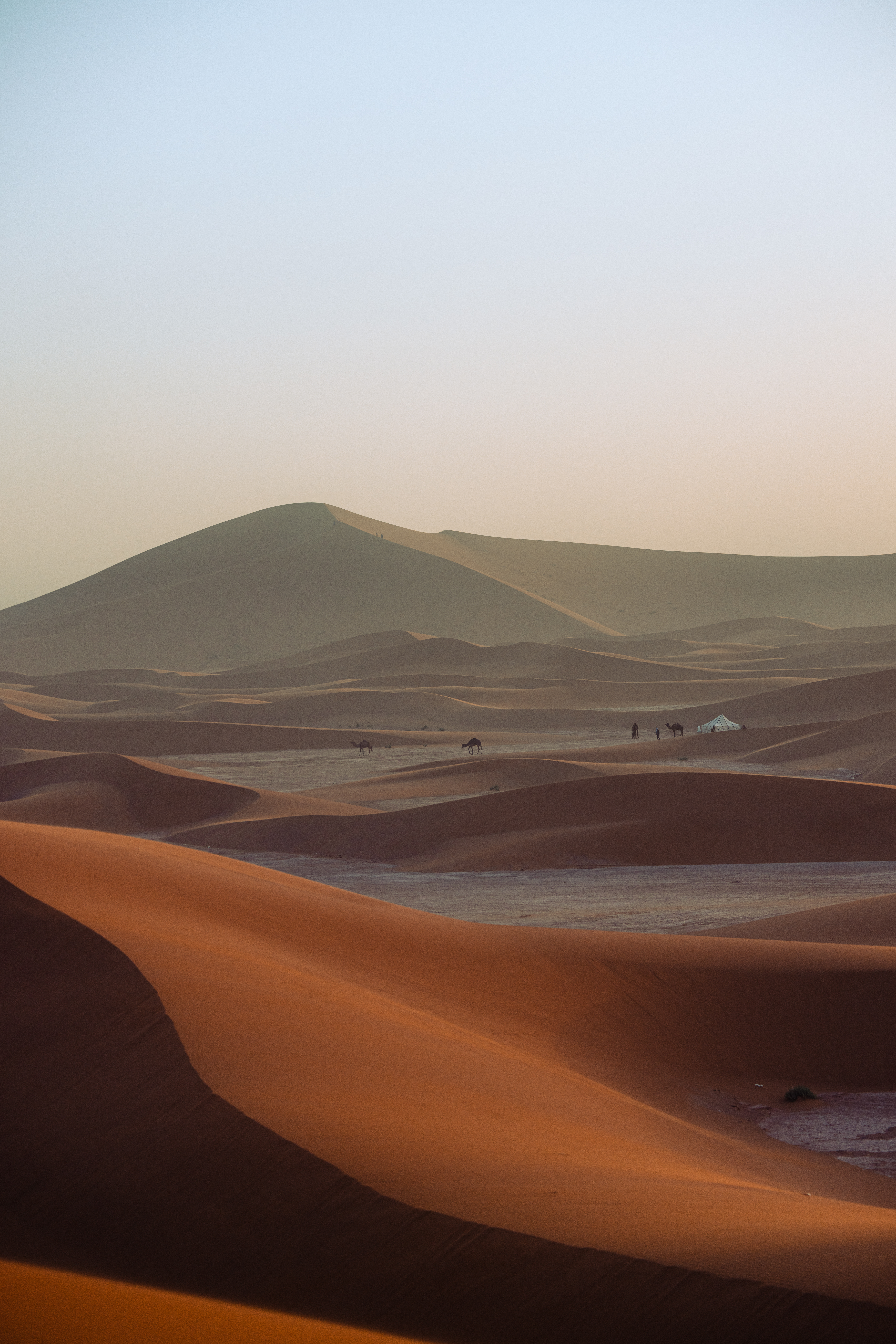 Tall Sahara dune at sunrise, used for the 6-Day Desert Yoga Retreat.
