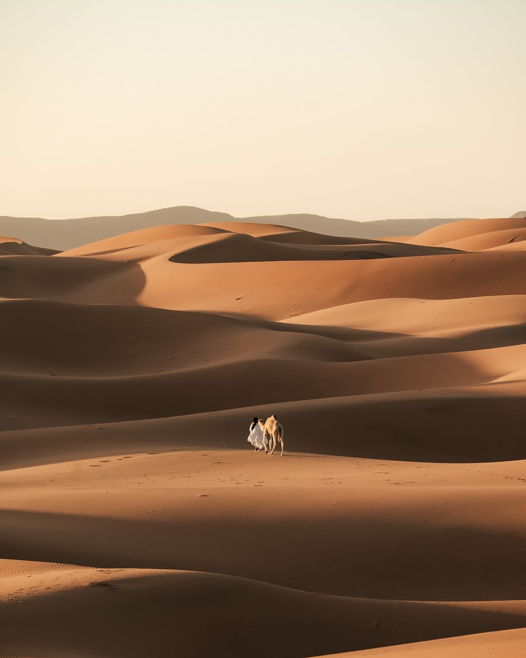 Golden Sahara Dunes Panorama in the Sahara Caravan gallery.