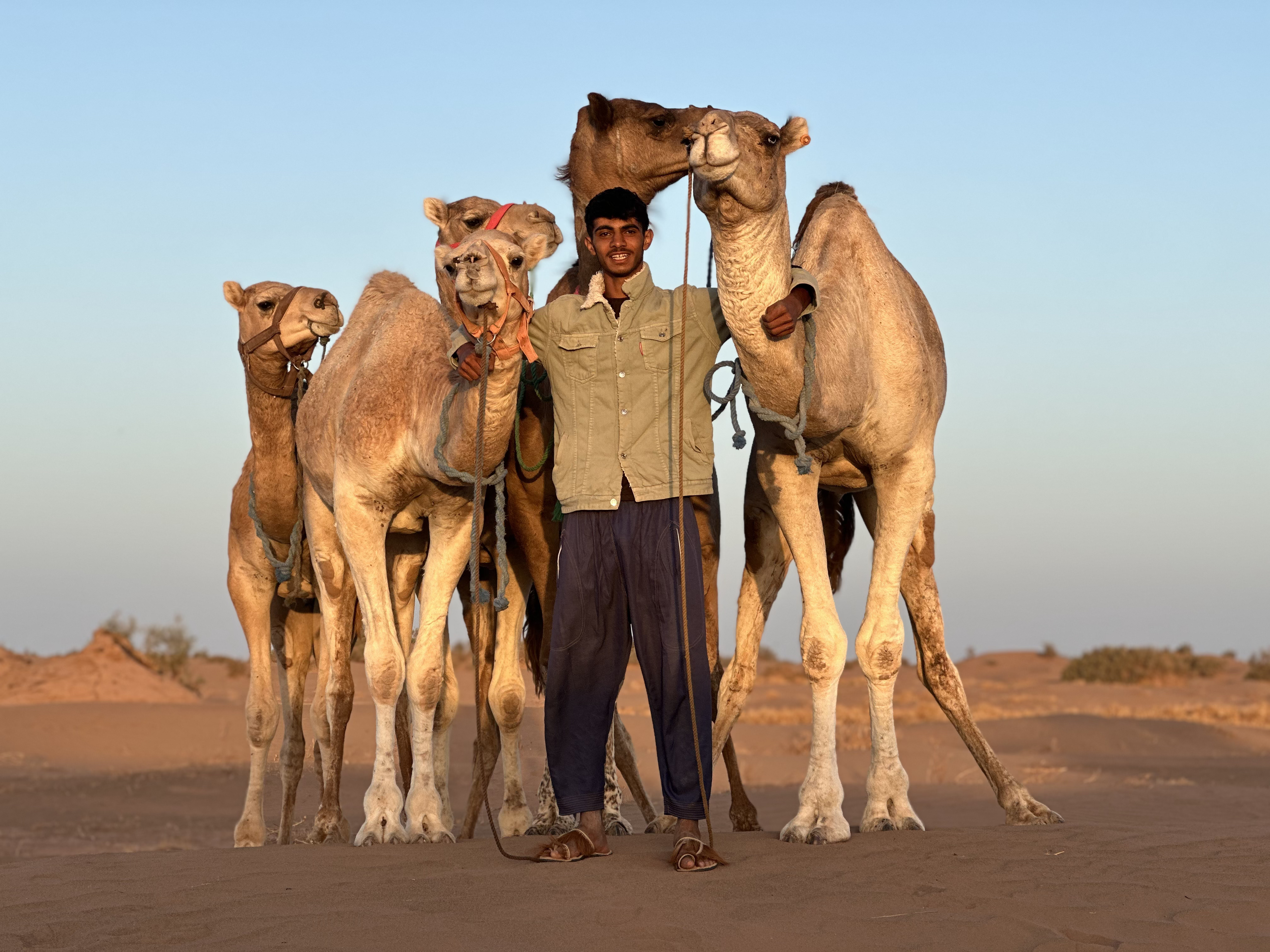 A camel guide standing with a small herd of camels in warm desert light.