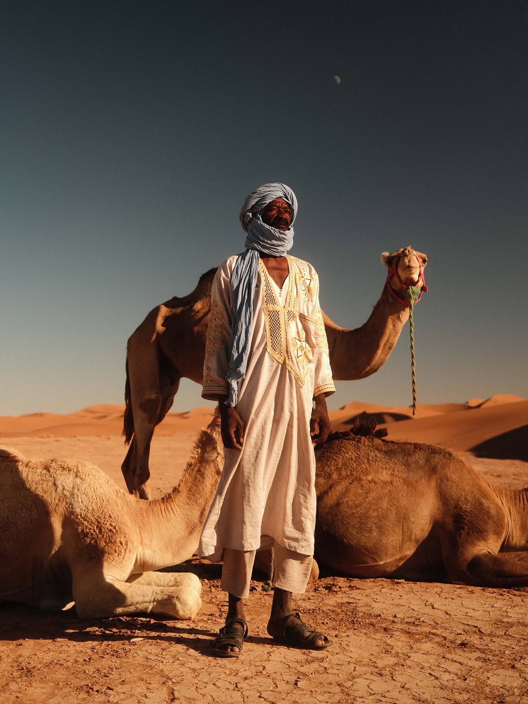 Nomad Guide Standing with Camel in the Sahara Caravan gallery.