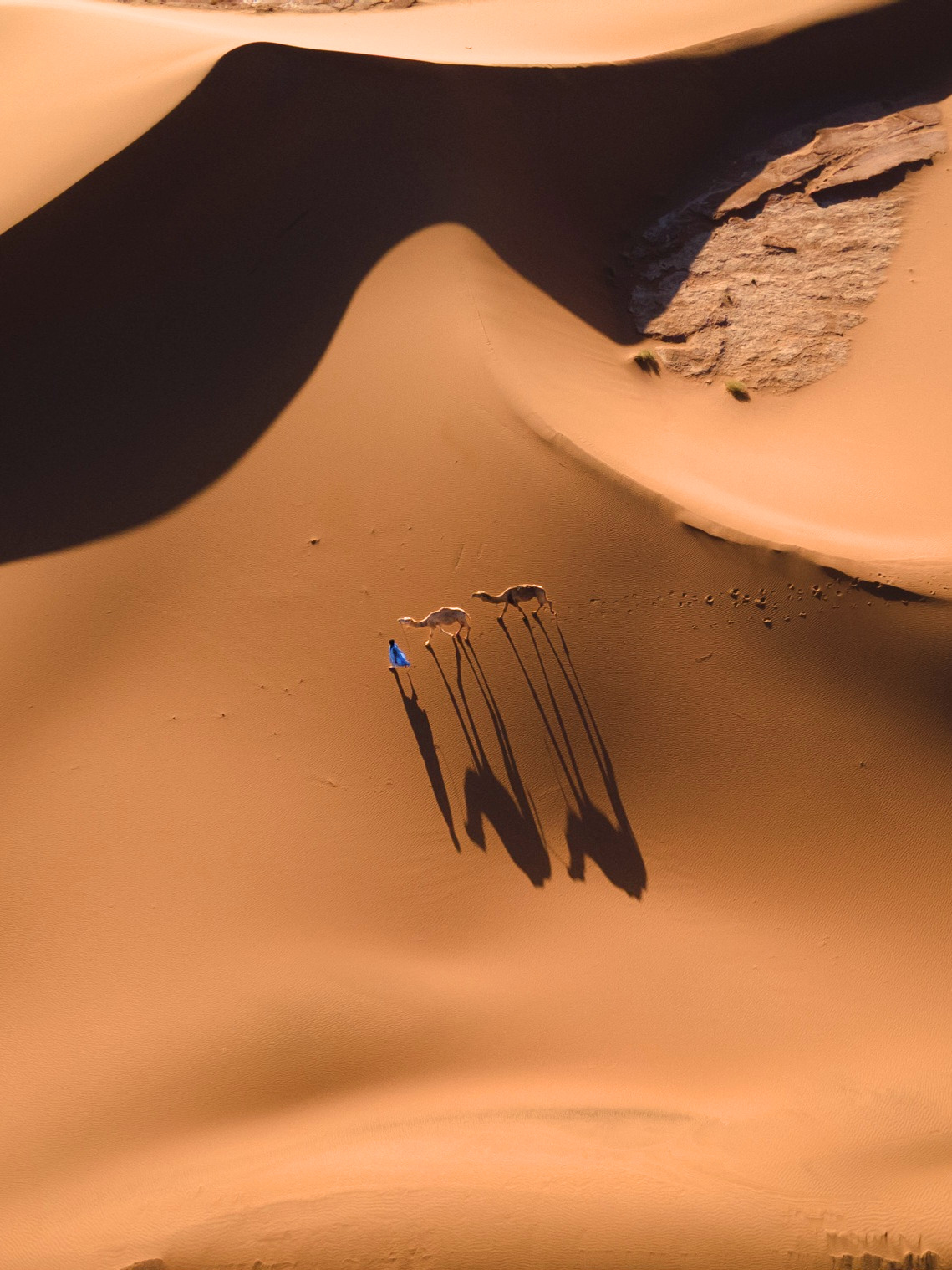Nomads Walking Through Sand Dunes in the Sahara Caravan gallery.