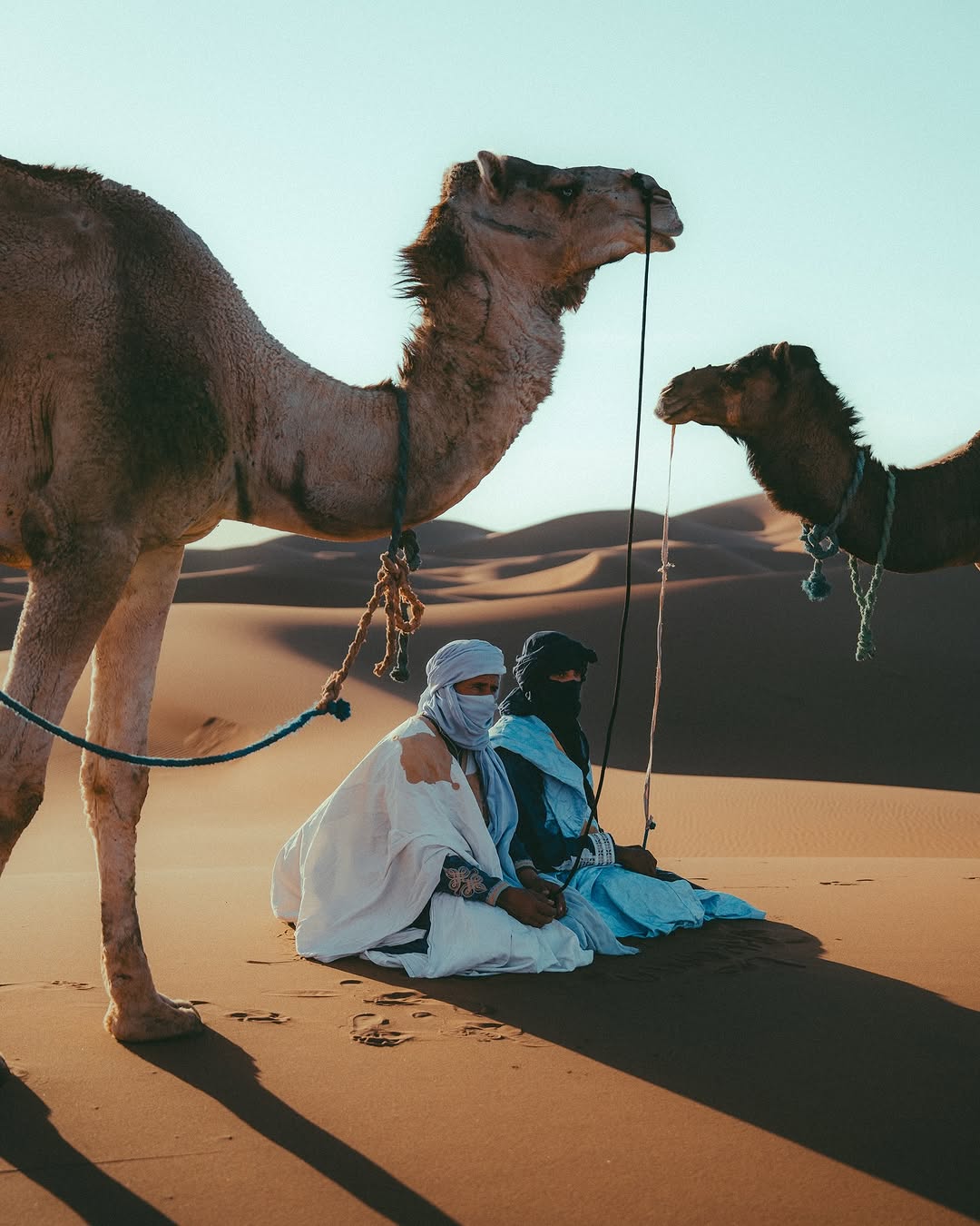 Nomads seated with camels in the Sahara.