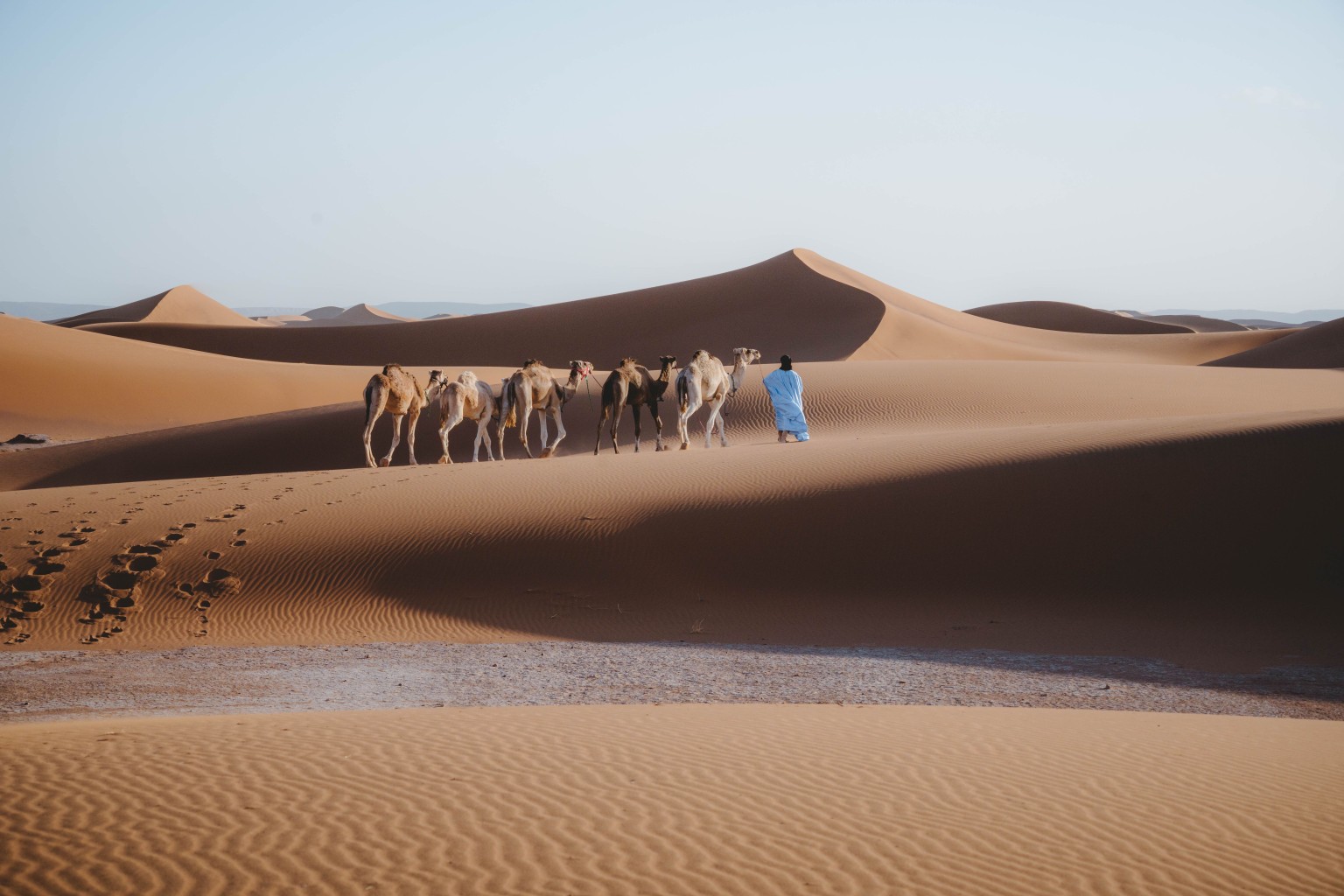 Wide desert landscape with camel caravan near a large dune.