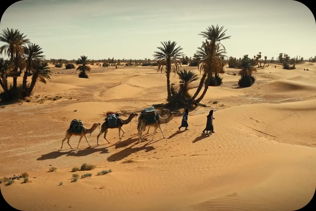 Following the Palm Grove Trail poster